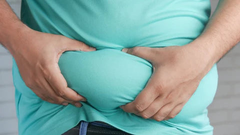 Wie geht man mit Fettleibigkeit um? Neue Studie behauptet, den Hauptsündenbock für Fettleibigkeit gefunden zu haben.